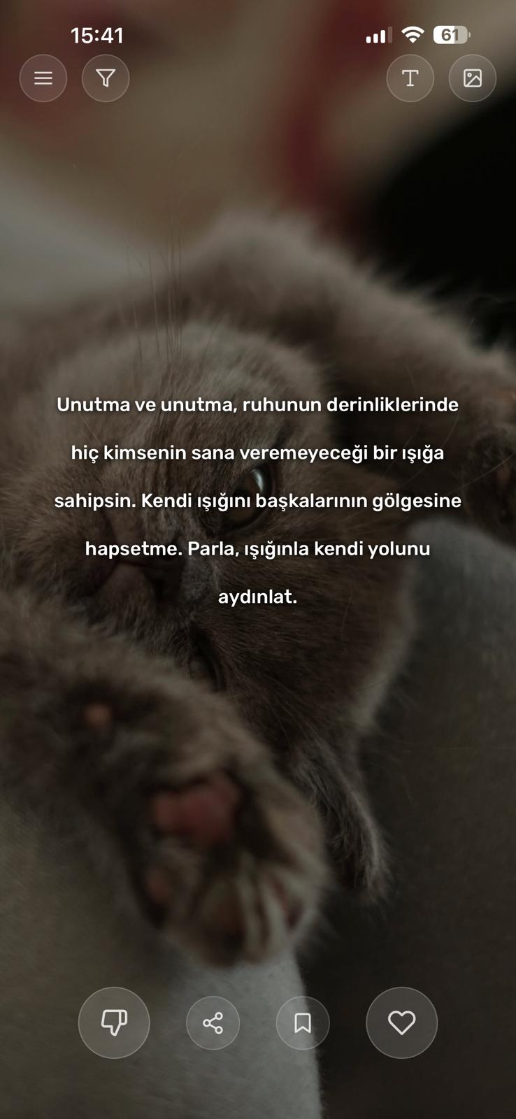 Günün Sözü uygulaması bildirim özellikleri